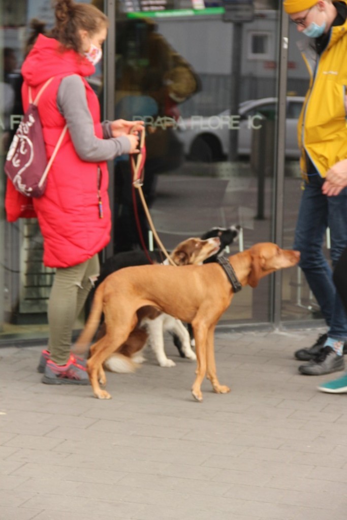 HM Solutions s.r.o. , Praha IČO 09647775