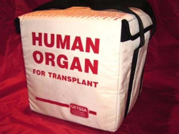 metody čínských koordinátorů transplantací orgánů