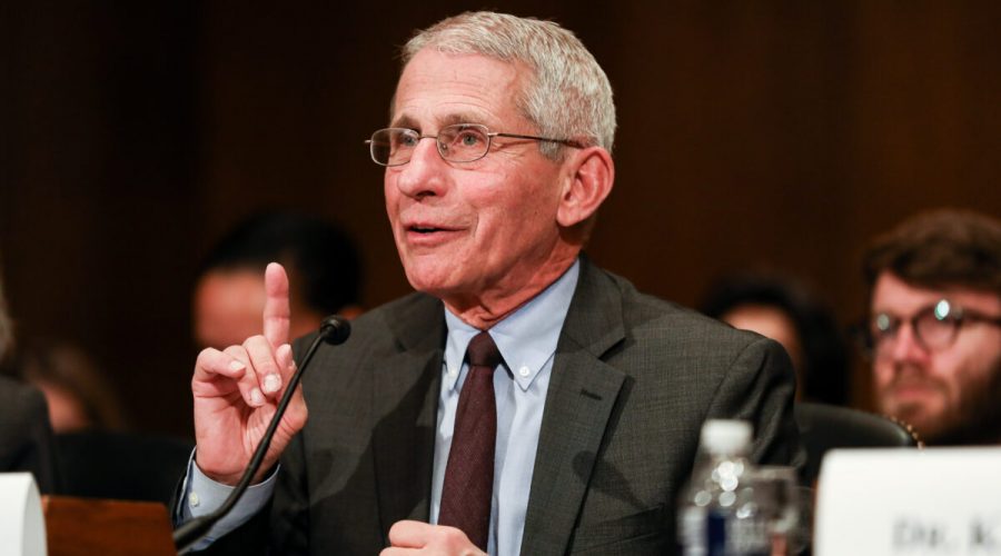 Ředitel Národního institutu pro alergie a infekční nemoci Anthony Fauci svědčí na jednání Senátu o koronaviru ve Washingtonu 3. března 2020. (Charlotte Cuthbertson / The Epoch Times)