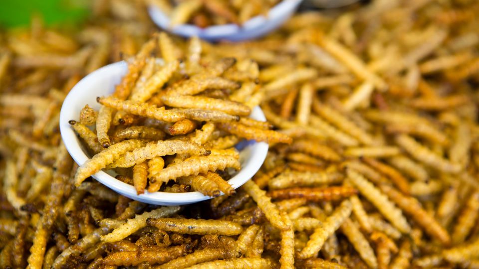 Podle italské studie budou typičtí konzumenti hmyzu muži a mladí muži