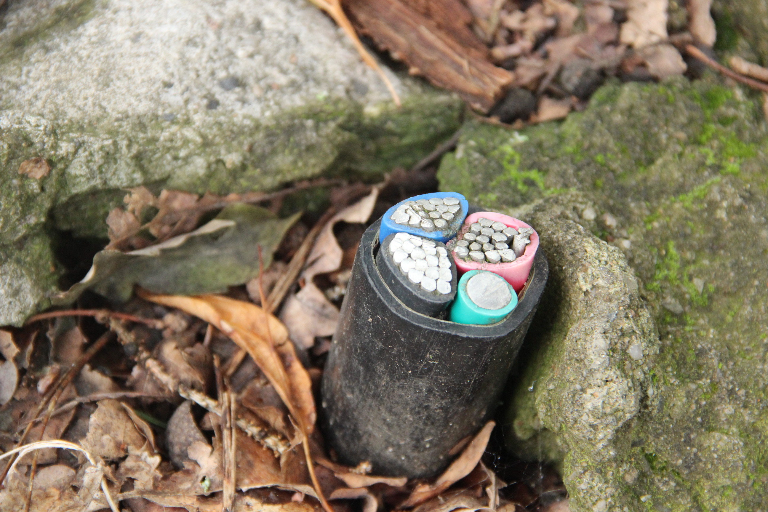 WILLIAM Architecture & Construction s.r.o. , Praha IČO 08181292